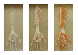 1acartographyofthehumanbodysonjabaeumel.jpg
